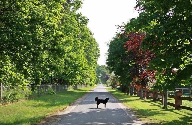 Ferienhaus für 6 Gäste mit 125m² in Habighorst