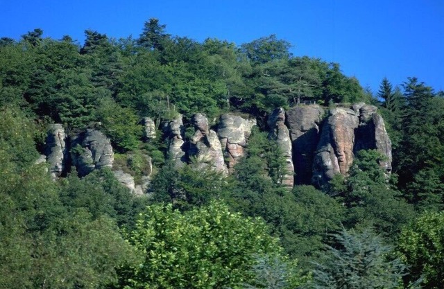 Ferienwohnung, 33 qm, 1 Wohn-/Schlafbereich, max. 2 Personen