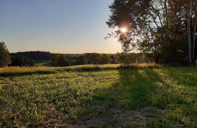 Ferienwohnung/app. für 6 Gäste mit 75m² in Reut