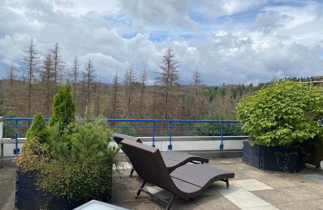 Ferienwohnung/app. für 4 Gäste mit 50m² in Hohegeiß