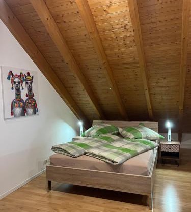 Ferienwohnung Zentral in Lörrach - KONUS Gästekarte inklusive