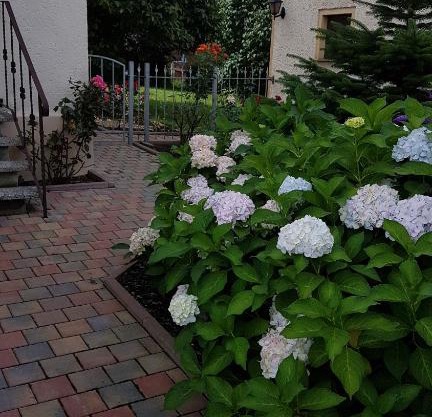 Ferienwohnung2 Grimma