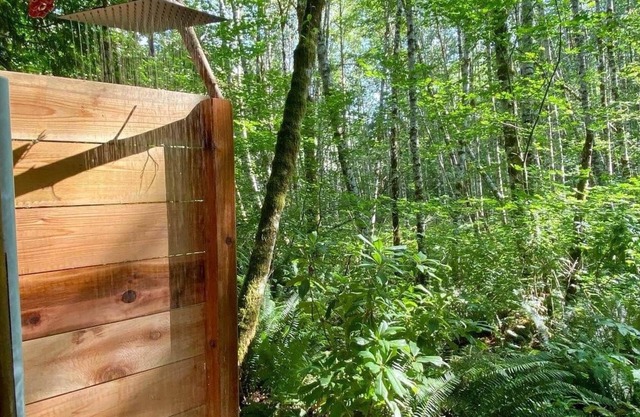 Fern Oasis @ Baker Lake