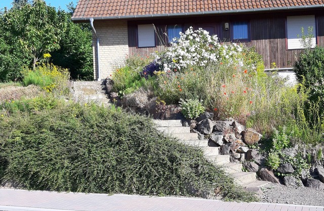 FeWo Dörsdorf Haus Schönleber