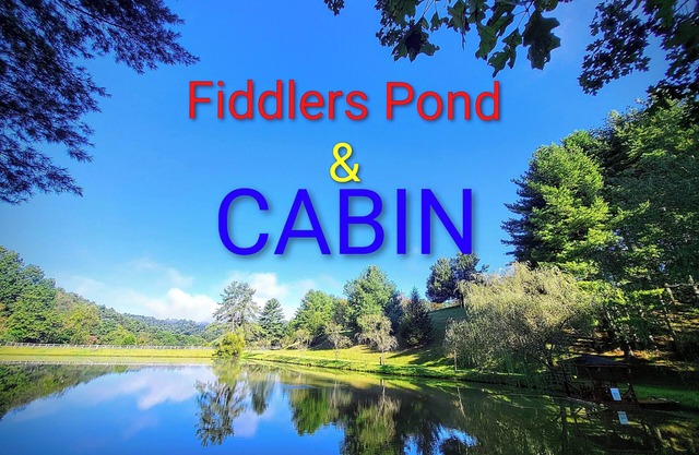 Fiddlers Pond Cabin, Galax Va, New River Trail & Fishing. PET FRIENDLY
