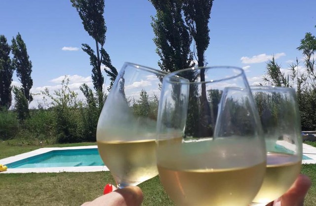 Finca La Malvina