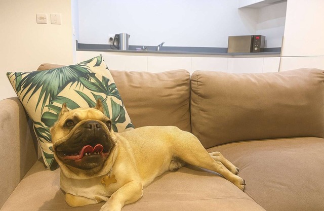 Five Ways City Apt – Pet-Friendly, Sleeps 4