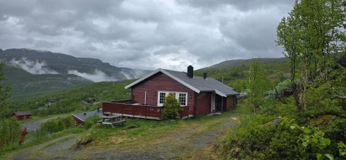 Fjellheimens Svanebu