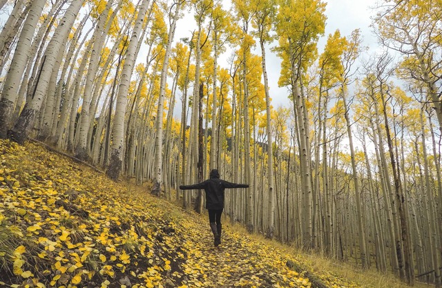 Flagstaff Haven: Quiet, Hot Tub, Near Trails & Town