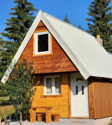 Forest Cabin 3