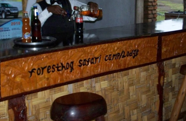 Forest Hog Safari Lodge