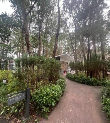 Forest Villa at Dai Lai Resort