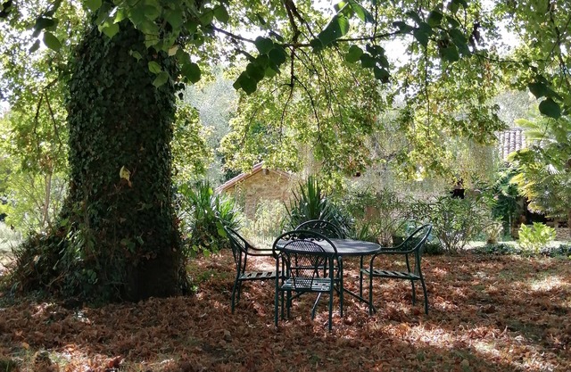 Fresh air and sunshine