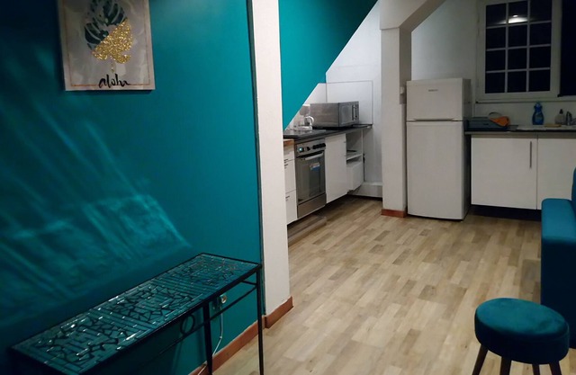 Full HD sea view. Nice remodeled duplex well furnished