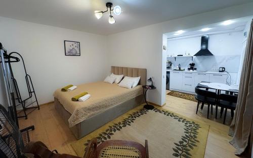 furnished apartment in the heart of Tbilisi
