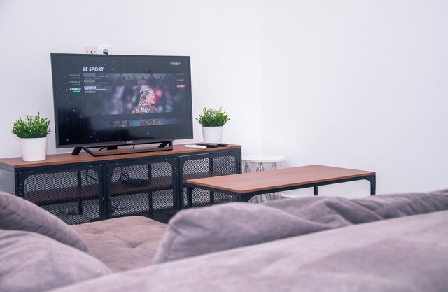 Furnished studio Kammi Haus
