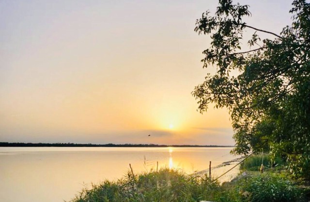 Gîte au Bord de la Gironde. Gîte le Bord'eau