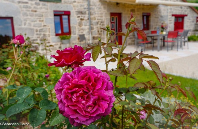 Gîte La Margeride 4 Personnes