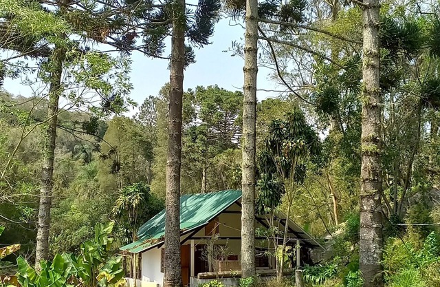 Gaia Point accommodation, come relax with your pet in a closed pet area!