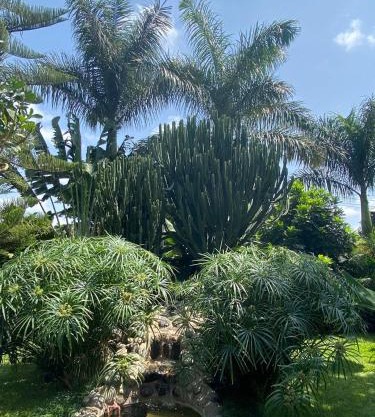 Garden Escape