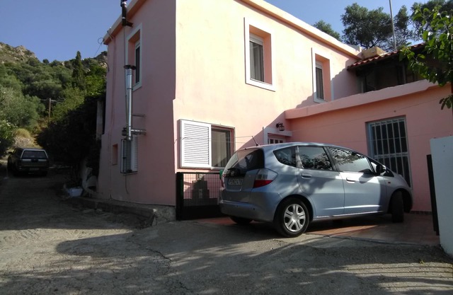 GARDEN OF OLIVE TREES