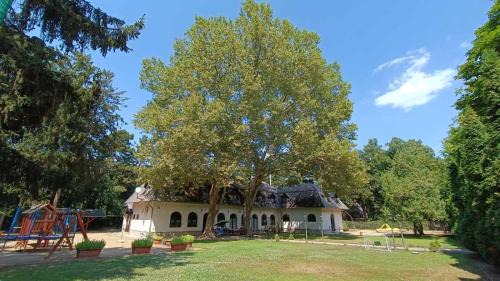 Garden Szálláshely
