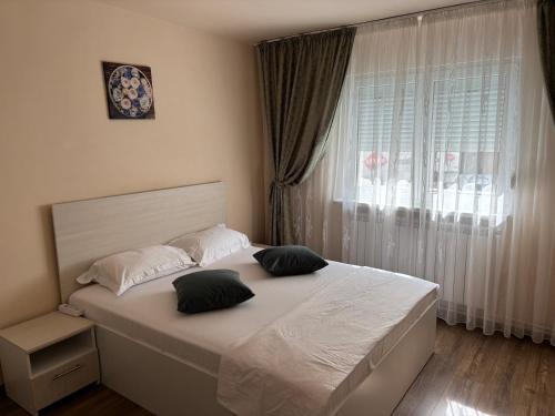 Garsoniera Lux Mioriței