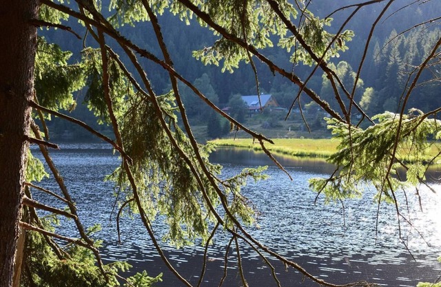Gemütlich Ferienwohnung, 90 m2, mit 2 Schlafzimmern & Terrasse
