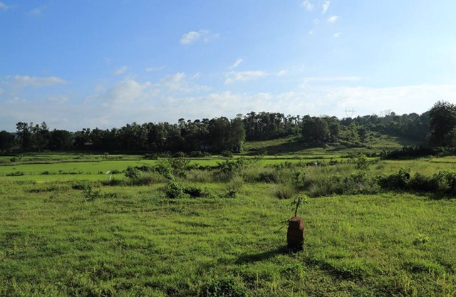 George's Cottage & Resort