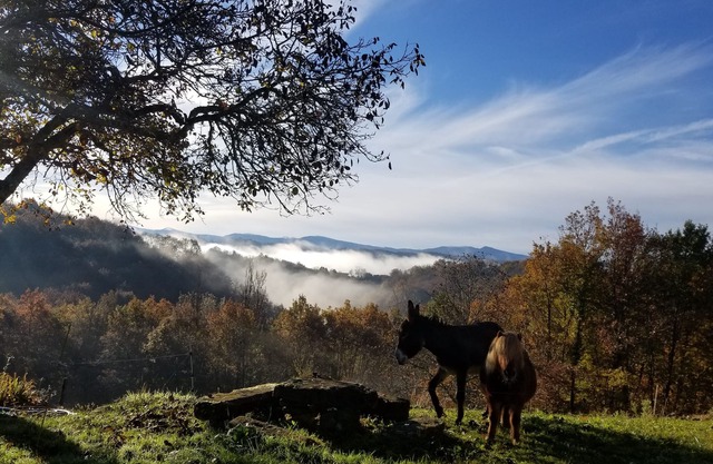 Gite de Marioune at Mas d'Azil with a view - 8 people