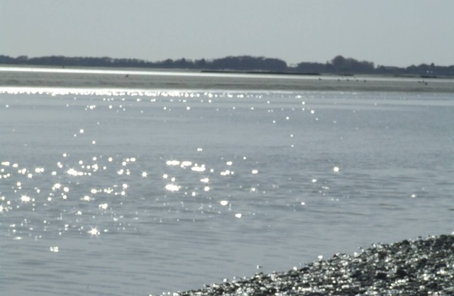 Gite Le Capucine, Baie de Somme Mer et Forêt