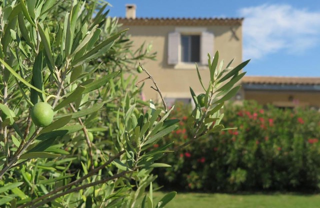 Gite LE PETIT LUBERON COQUELICOT