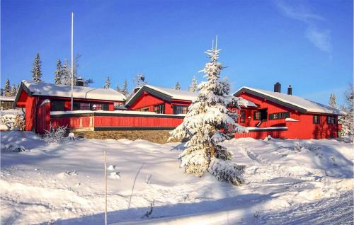 Gorgeous Home In Østby With Wifi