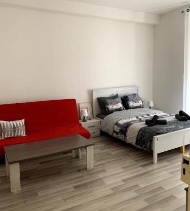 Grand appartement proche centre et tram