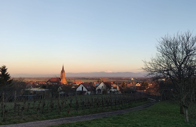 Grand Duplex Tout Confort sur la Route des Vins au Pied des Vosges 🍇