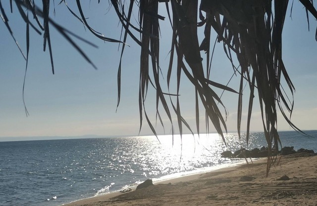 Grand Familysuite for 5 2 bedrooms 1 large kitchen dining and living area bathroom balcony