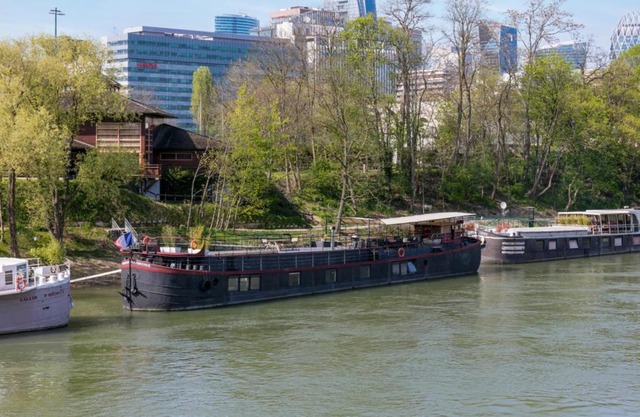 Grande péniche 4 ch - 10 pers -Paris - Ile de Puteaux- terrasses