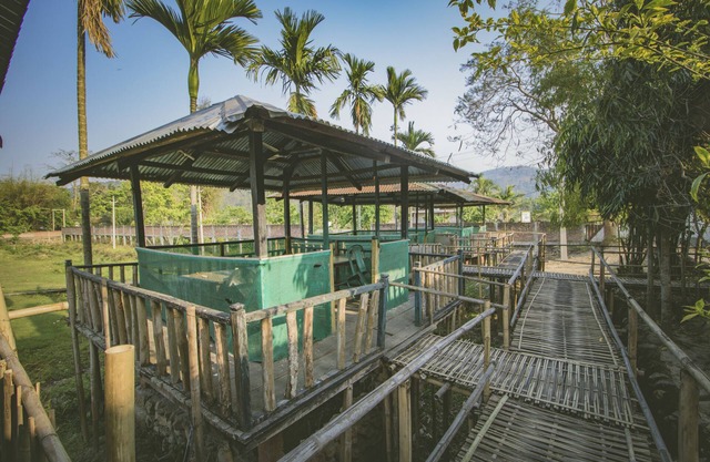 Green Ashiyana Resort