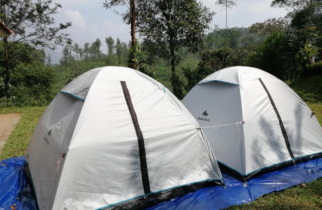 Green Garden Tents