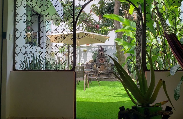 Green Life, Room #1 king size bed