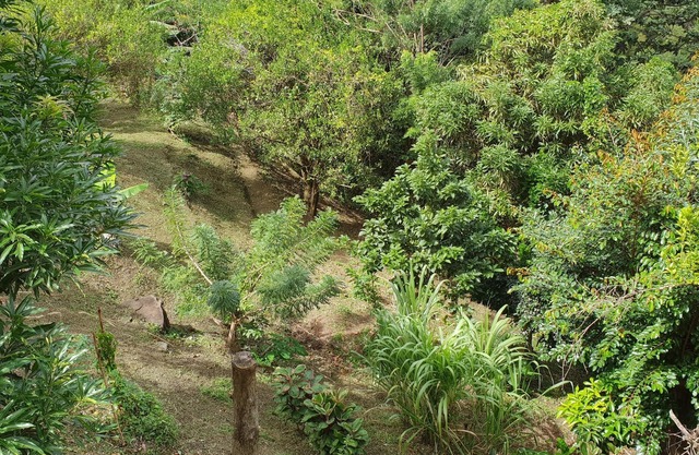 Green setting - Tranquility assured