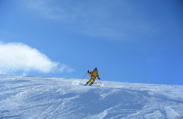Green Studio Italian Alps with WIFI