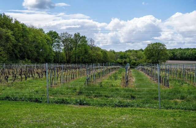 GRÉZAC, this is your home.