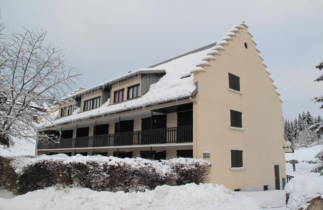 Ground floor, tv, 29m², Villard de Lans