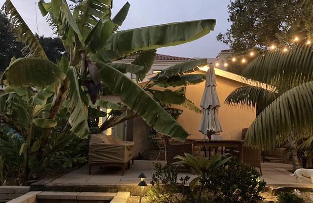 Guest house close to beach