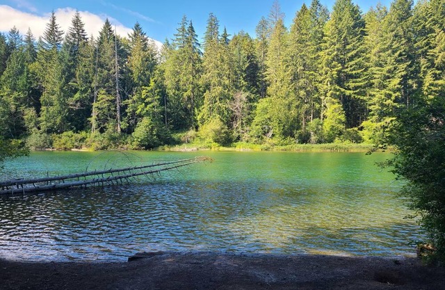 Guest suite downtown Cumberland - walk to trails and amenities!