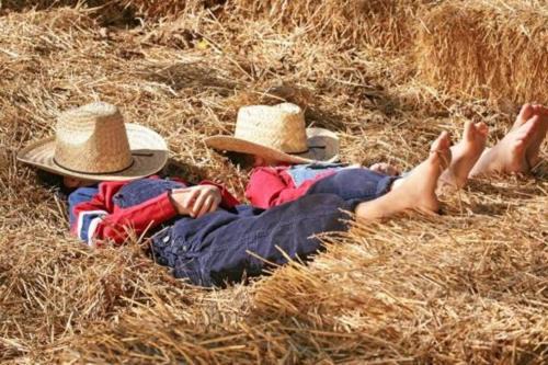 Guesthouse -Die Älplersuite, im Ski und Wandergebiet