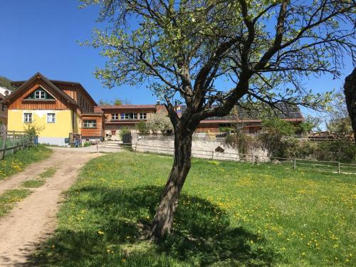 Hüdahof Niemtal