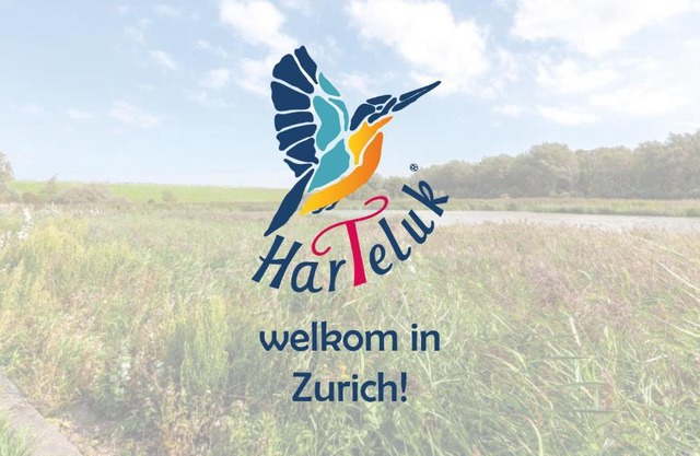 HarTeluk Afsluitdijk Zurich