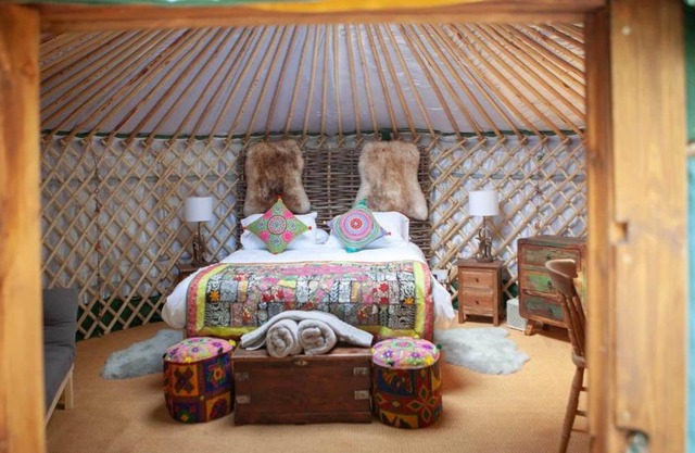 HAYNE BARN ESTATE - 2 Luxury heated Yurts - private hot tub- private bathroom and kitchen